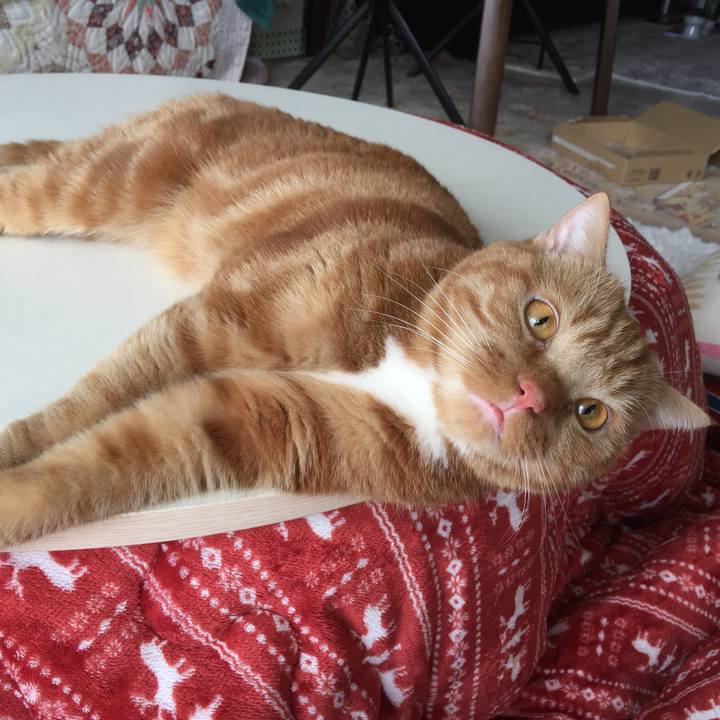 9334e254 7457 4b3b 9074 6f25d32e2335 1528841388683