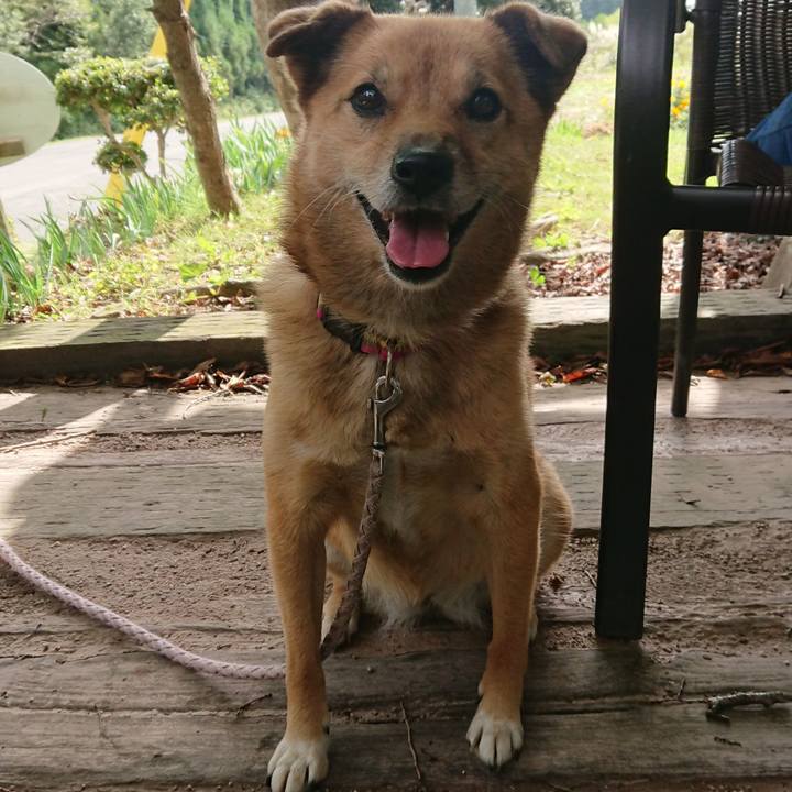 9334e4e8 c783 494f 9a21 f697898371ce 1634298148172