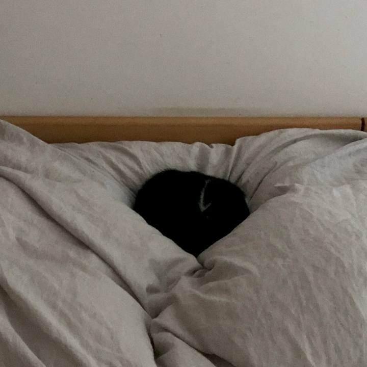 93351562 9fcc 4357 9170 17e82811d106 1561337935604