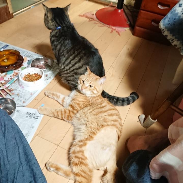 93353a0c ab0e 4ca6 959a 7fc444b6aba0 1655637376607