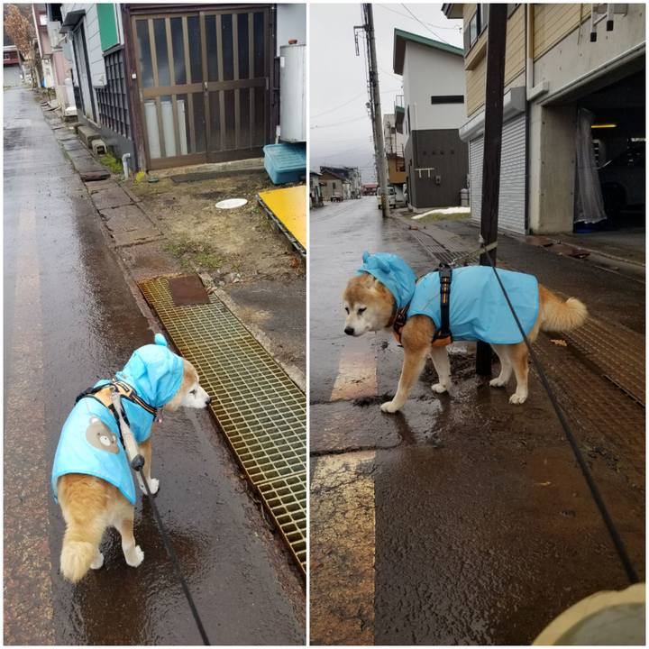 93355925 eb01 4526 baa6 406ea94f9426 1772596331399