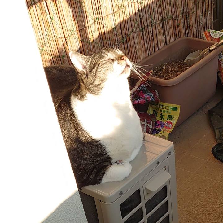 93355a5c c6d9 4baa 819b dc20165d4c1d 1636065204642