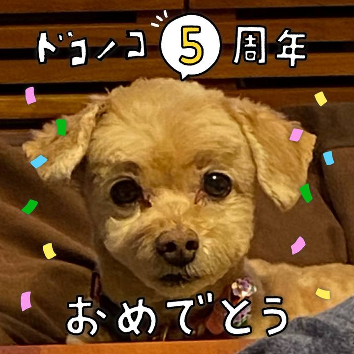 933579f2 5044 4439 8254 54ca7071b4b9 1622900300435