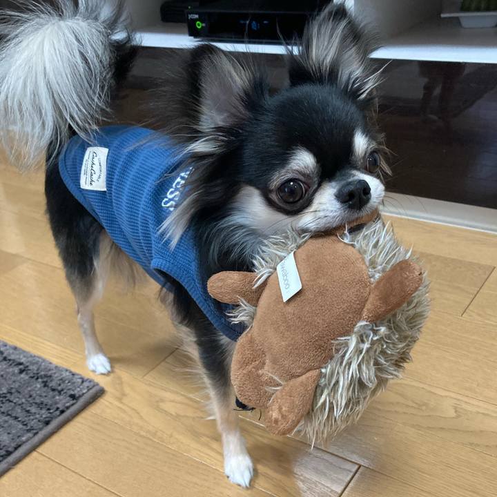 93358a0d 2b4c 4205 93d8 4f0b617b1895 1616196124562