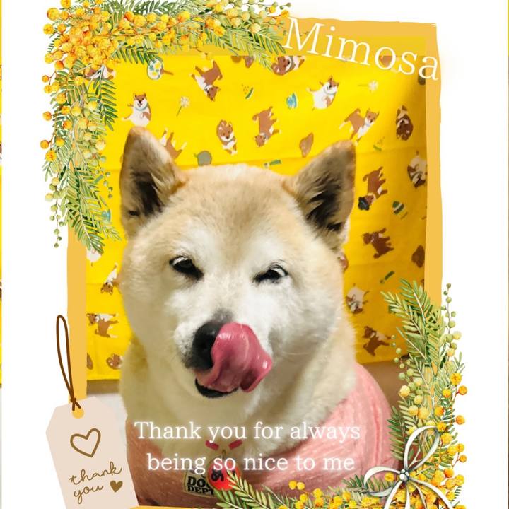 9335978e 09ea 49cb ad84 c8ad6a666364 1748597278524