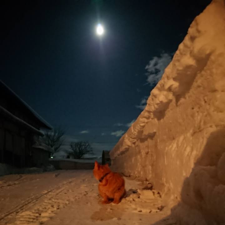 93359bdc b598 4d00 b30a 46897d9ba2f6 1642503753382