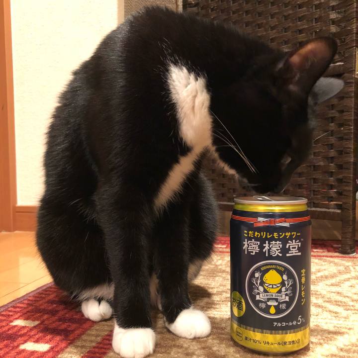 9335adec aa4e 4280 a28a 8815d87171f0 1529220165212