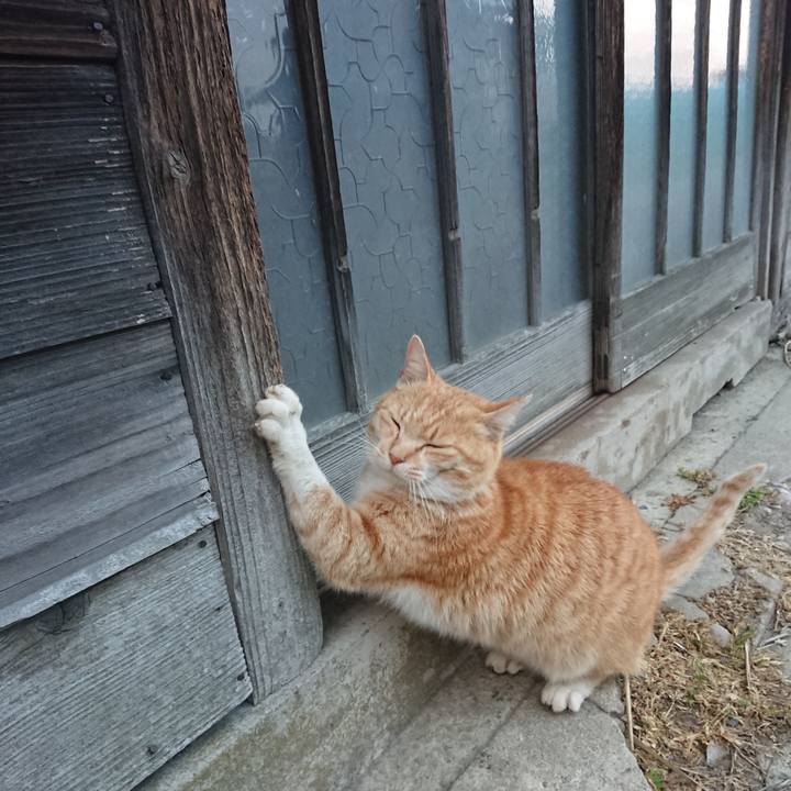 9335bec0 347f 45b6 8352 e583cf37dd8e 1586508737417