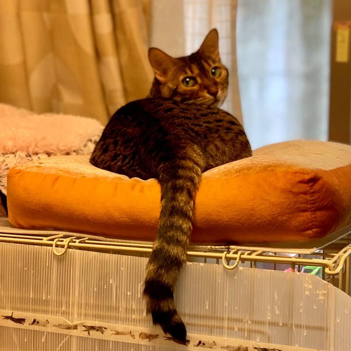 9335c0da eb12 405c b8a9 b58eaac30115 1560381616283