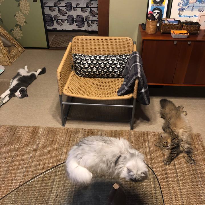 9335ff6c 6297 43b0 99ac c9805fb00a1a 1626782583239