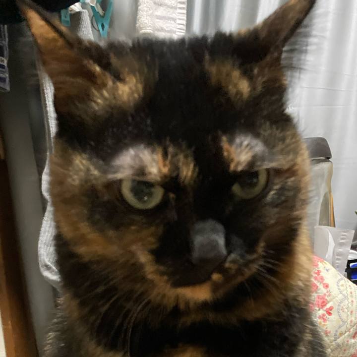 93361c86 6fa3 4e57 910a 19e691c26bea 1705792203397