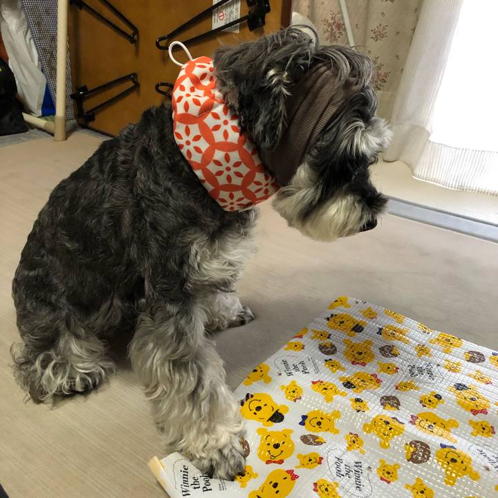 933679d0 aef7 4849 9c83 9392b4cf54a5 1659740551825