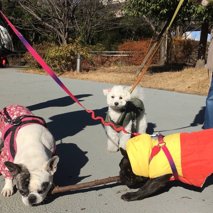 93369913 d0ff 4f18 8ade bd44a2e4481d 1514622102517