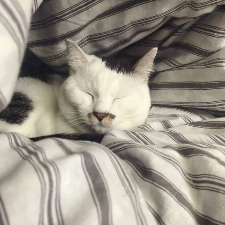 9336a1cc 03ee 49cf a84d fba78deda61d 1573377637108