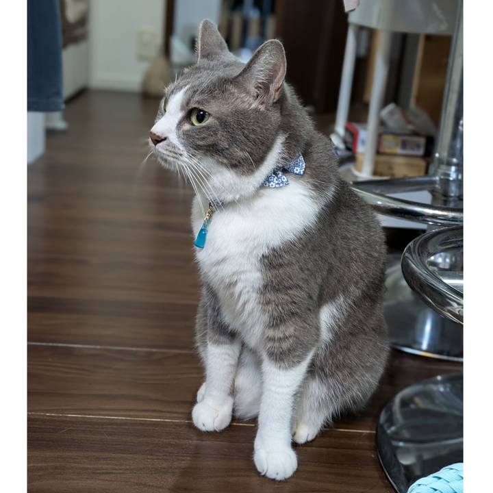 9336c6ab 2227 43da b46d 3ec97f4fb8f1 1727650040565