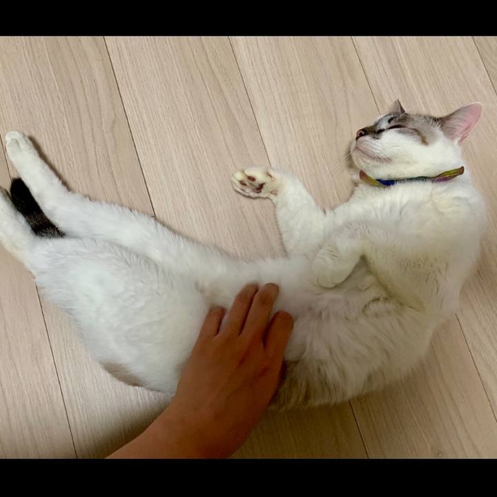 9336da48 b8e8 4749 bfa9 3ac546d80a86 1569543638661