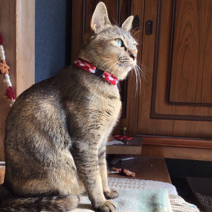 9336f408 a0bf 4a1e a4e4 149b0461193f 1604112028045