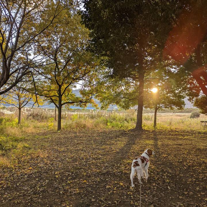 93370078 8fde 4d9a b969 e53623d293c0 1637720272088