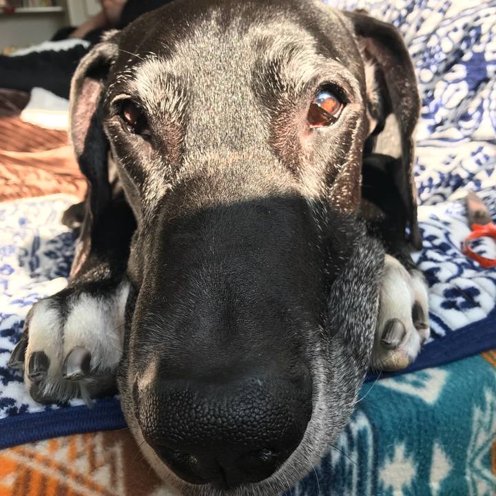 93371bf5 6329 49e7 a799 b0172e0f14af 1518310650797