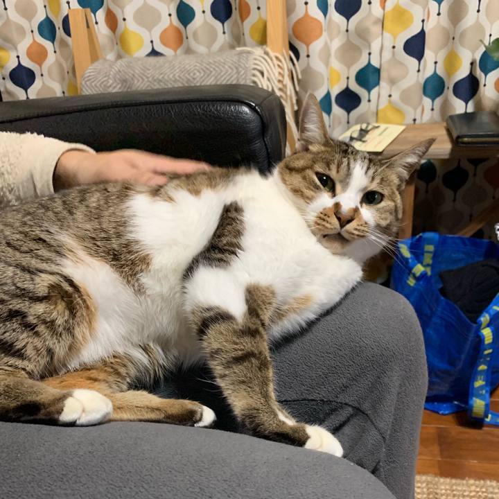 93374654 d61e 4f82 bb50 5d26d96daf73 1547295501374