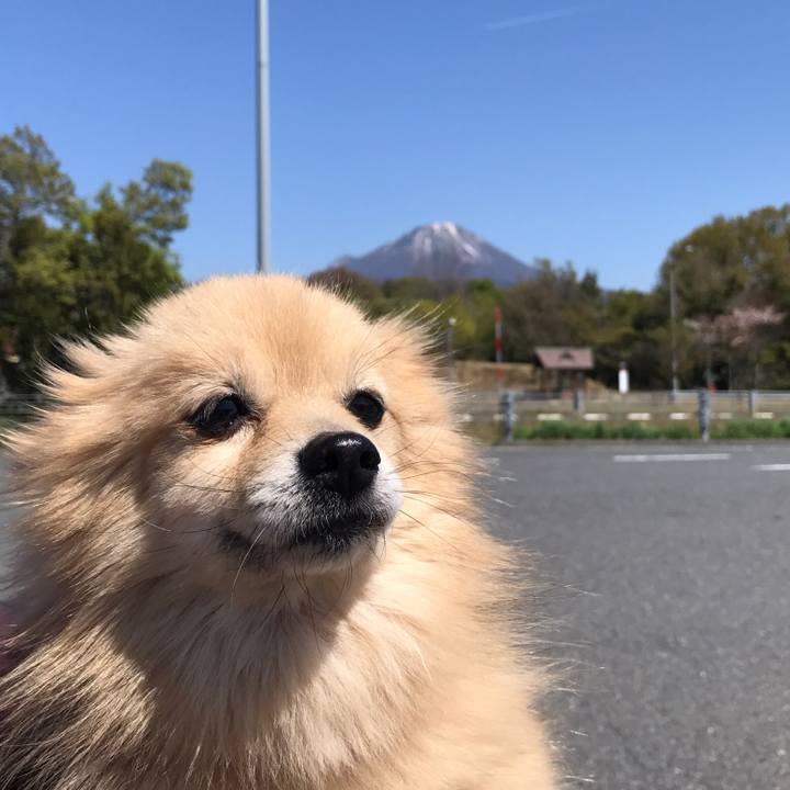 93377d70 e736 40f3 9a73 9a99563f411d 1564501998340