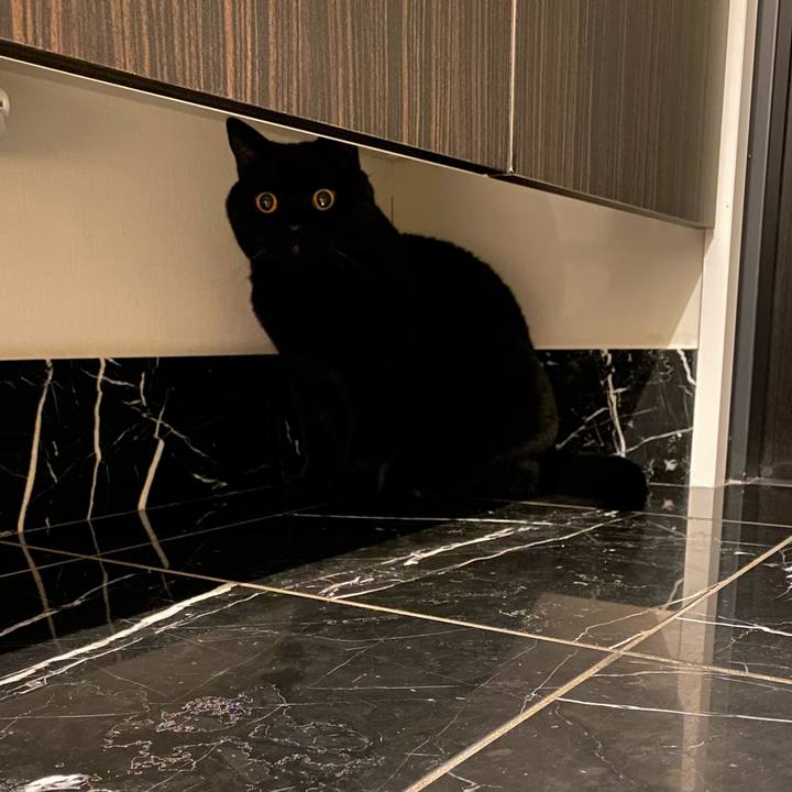 9337a73b 30e0 4252 9c09 359677c891eb 1742565183052