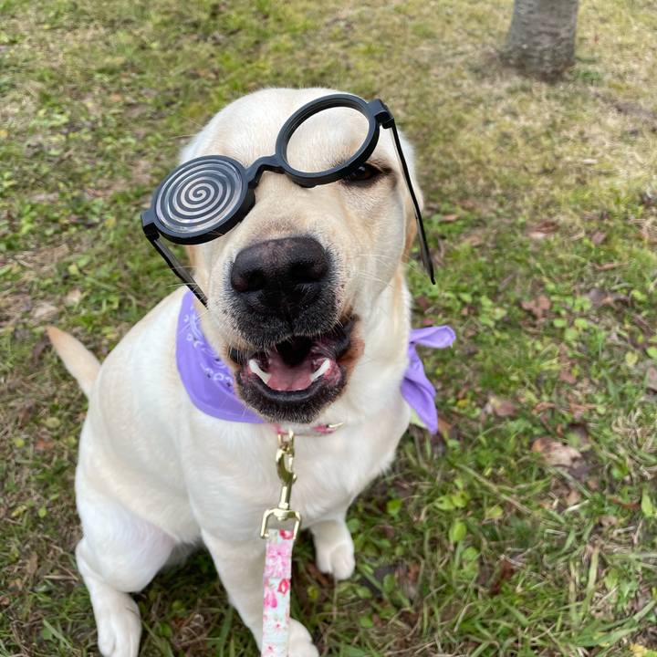 9337d37a 9124 448b 8e46 72cf2a01305e 1641800350657