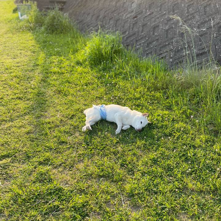 9337db13 a44b 4b0c b446 2906f6da1731 1650461150750