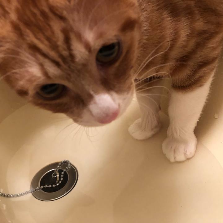 9337ee7a beca 44c5 a6f4 dcd85cbcb522 1546864052272