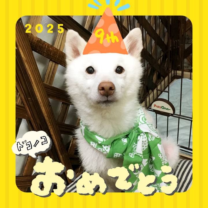 9337ffe8 5bc4 4870 8b25 3302d98f9432 1749131210532