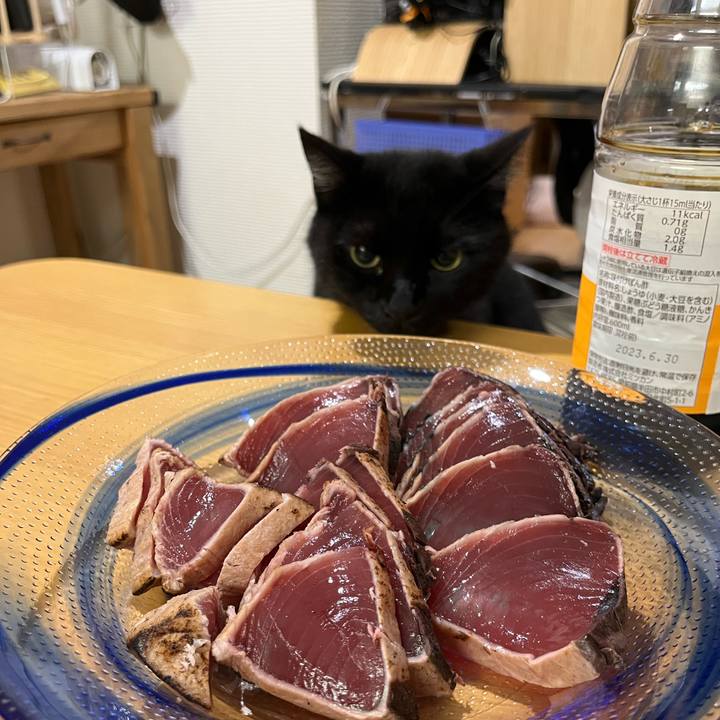 9338101b 3fa6 4d08 88b7 c0a20c2d8ead 1661681739276