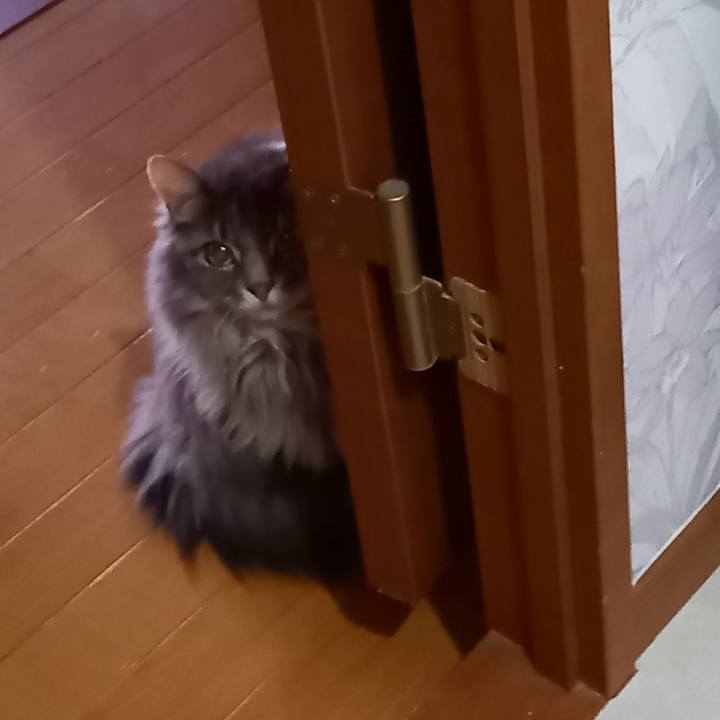 9338333d 8893 4eb4 9373 f5e6be4231ea 1651483489478