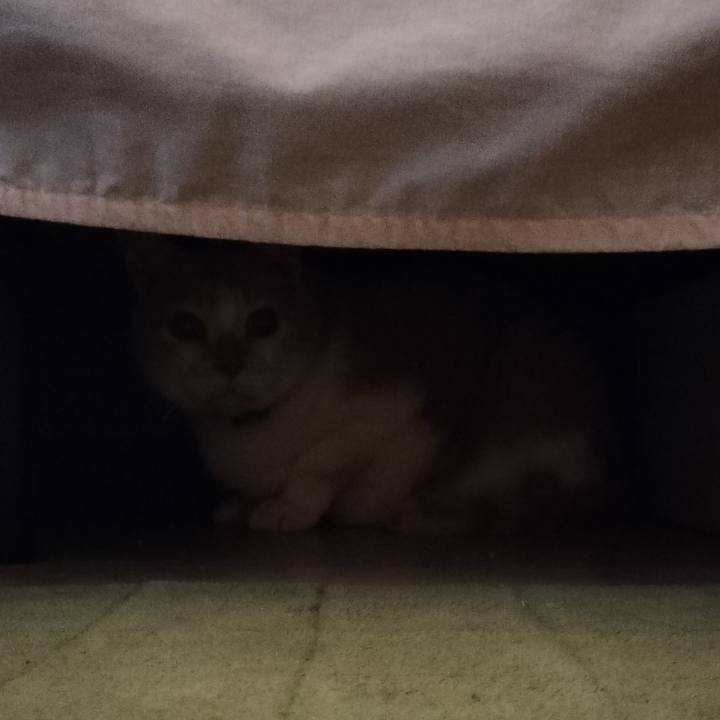 933837e7 26bf 4007 aa1a 60ed3e841878 1660794067771