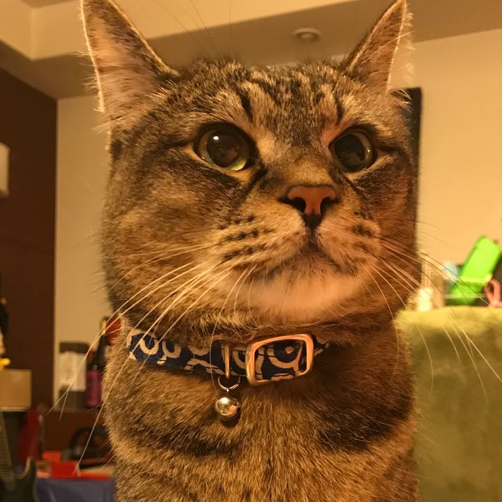 933847f5 cb6f 4d86 aa1c 7eda78582d04 1561129133340