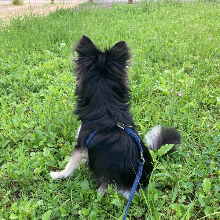 93386487 24b5 4669 a9e4 aa38084695cb 1624766429853