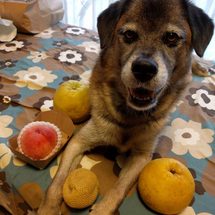 9338818c 8fcc 4a58 911f e966f975c2f1 1736210393706