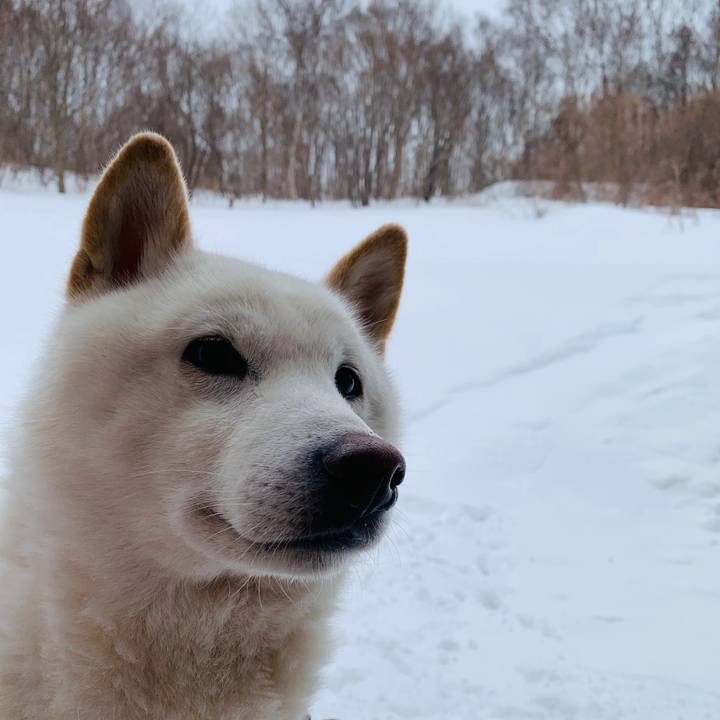 93388d13 8d6d 42e5 b1bf 76f52b3d744d 1583500782078