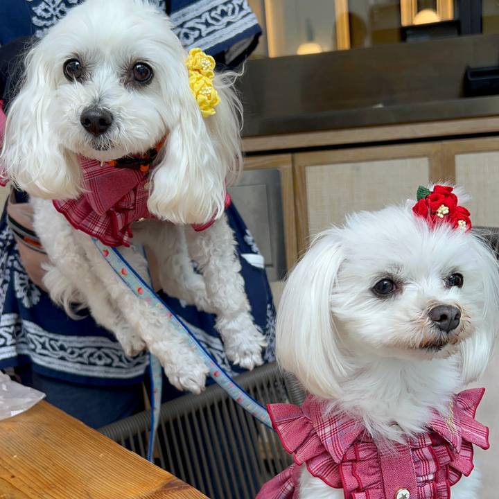 9338a465 7ab5 484b a95b cd73e707494a 1686370397760