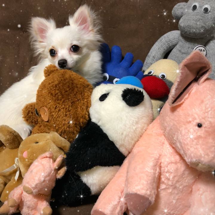 9338b04c 308f 419e 81a6 213677972b89 1523108604741