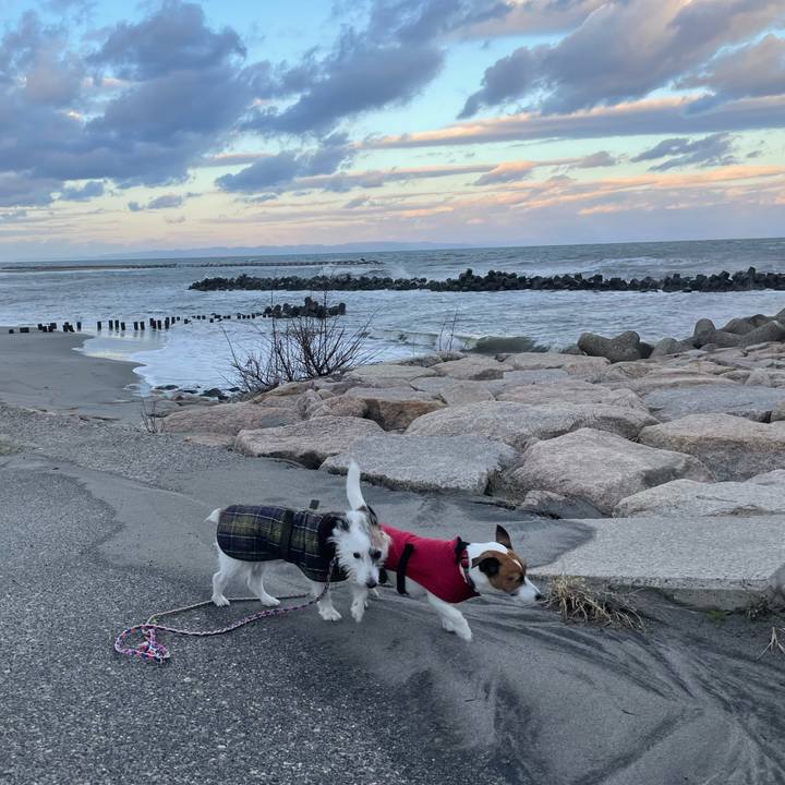 9338c5cc d8e6 4761 92d7 46c624800df4 1765235206999