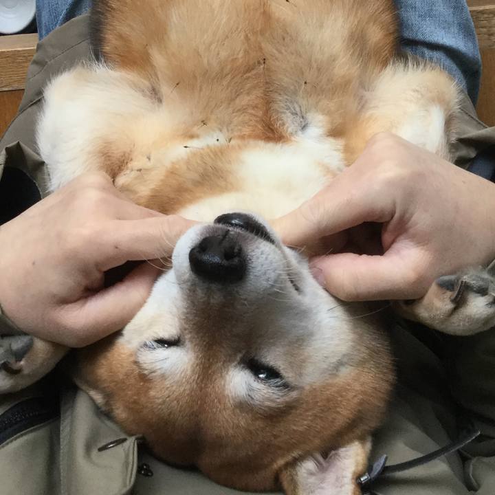 9338d880 e168 4489 a86c c29aa5d32b3d 1604194182306