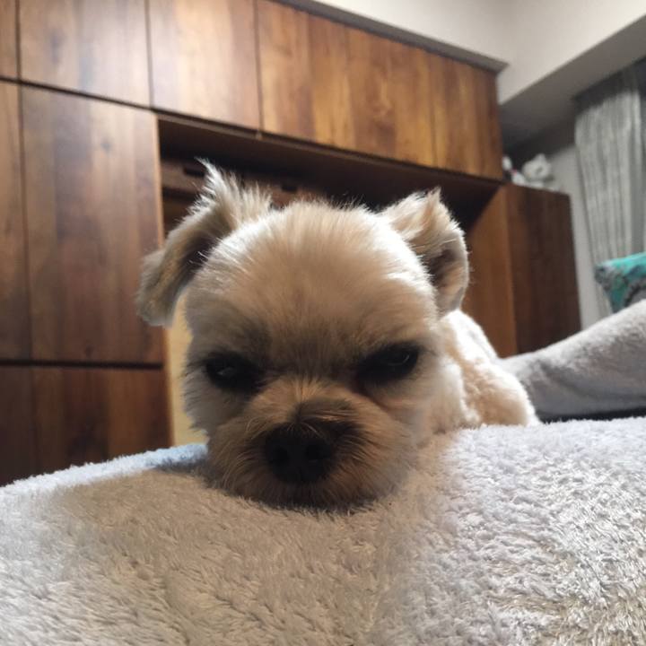 9338e9d2 d4f8 4d66 acec 0b171d18a673 1540550433048