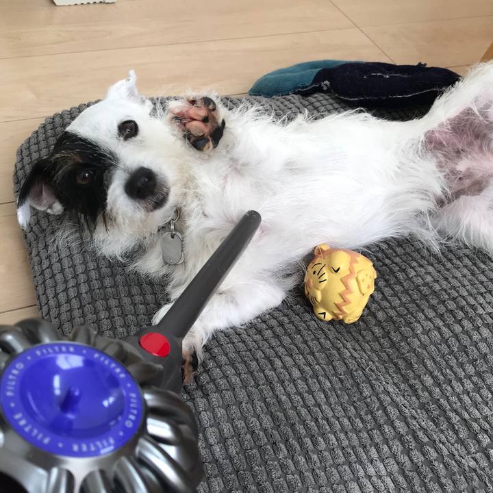 9339030f 4a40 4820 a947 c3f88e47accd 1535418934547