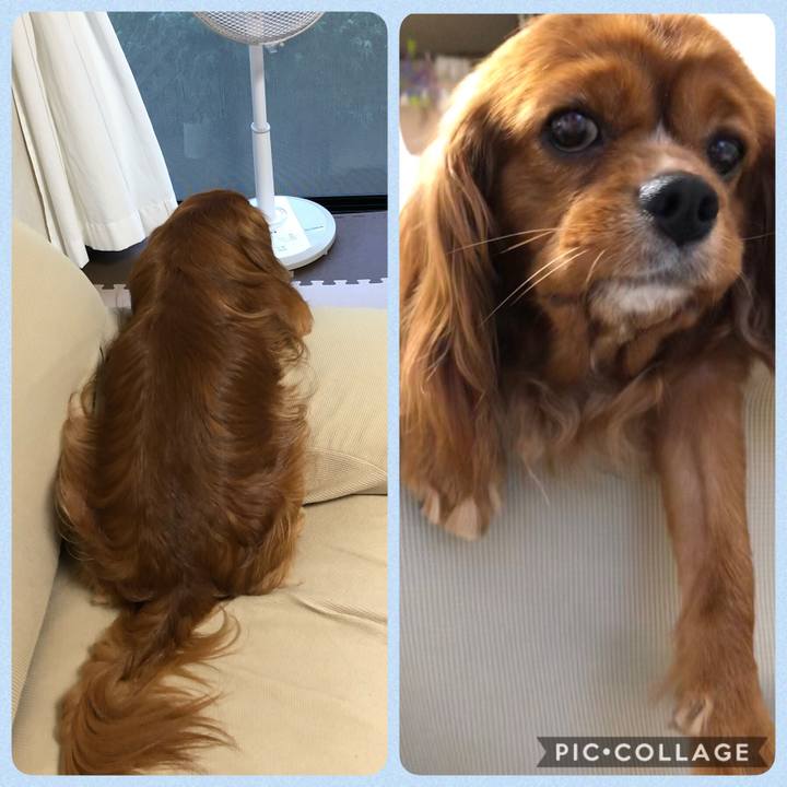 93393056 3d7e 40e1 97a5 f7ebf7365432 1592131160543