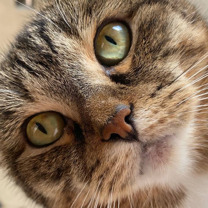 93399601 d52b 4569 bf80 bdb3cd122745 1667084332441