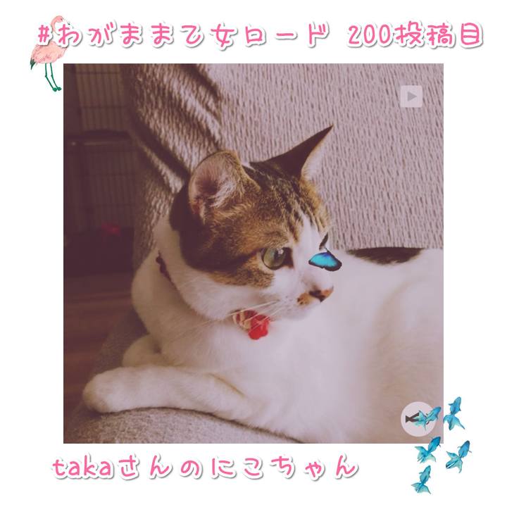 9339f8cc 916f 4188 b03e 8ea6cc8a1622 1568276381911