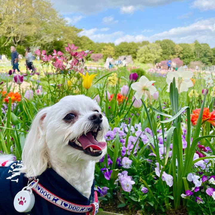 933a2399 42b0 4c97 beb1 a23289420627 1617684457956