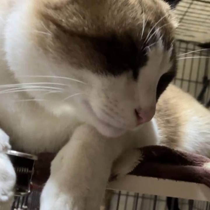 933a91ee 1787 455c b963 b047c720e600 1731923036038