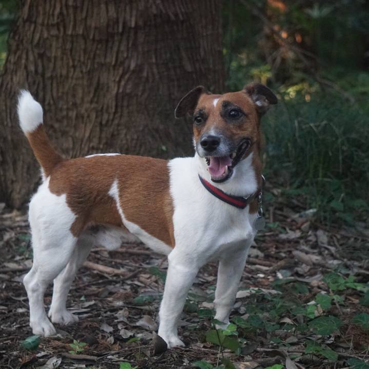 933ac600 2703 4e8b bcfa 842b4e2a94ad 1533077994244