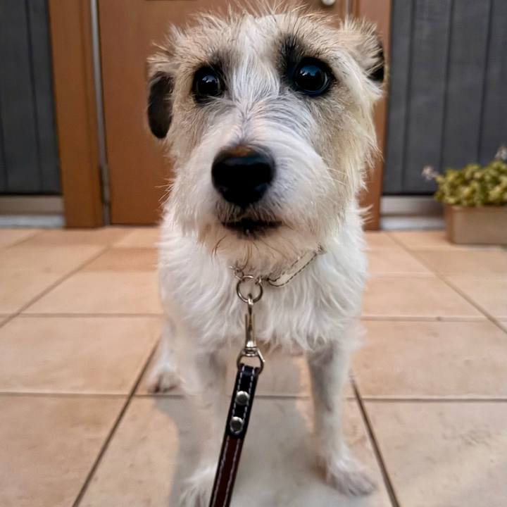 933afbcd a0e1 4ea6 8509 c3490db603ec 1764879546426